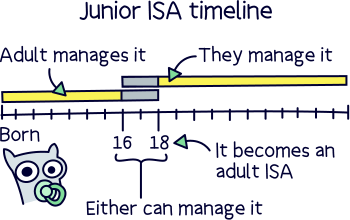 Junior ISA timeline