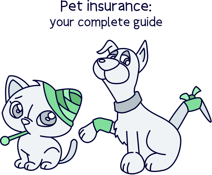 Pet insurance:your complete guide