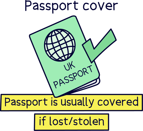 Single trip passport cover
