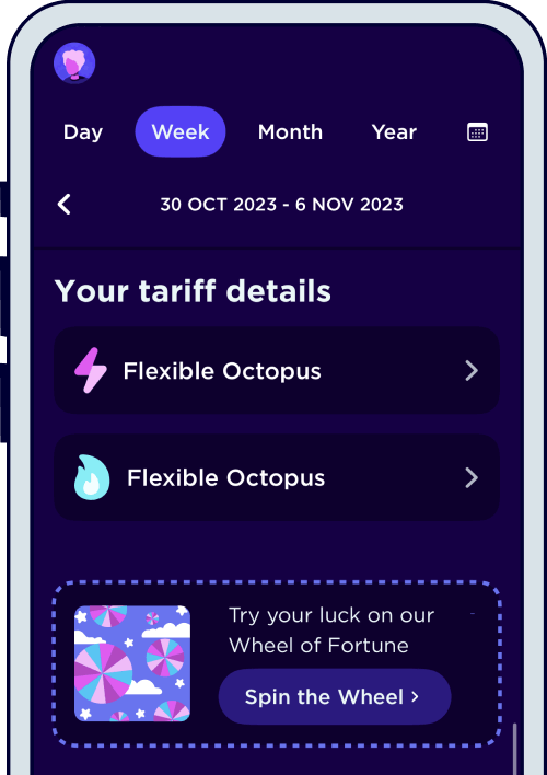 Octopus Energy tariffs
