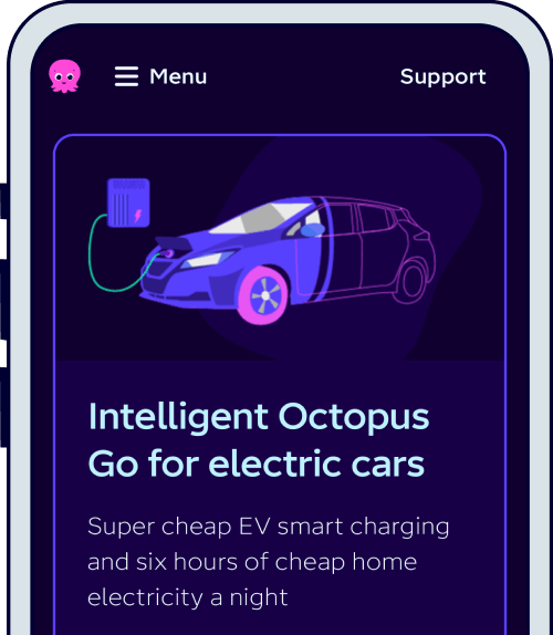 Intelligent Octopus Go 